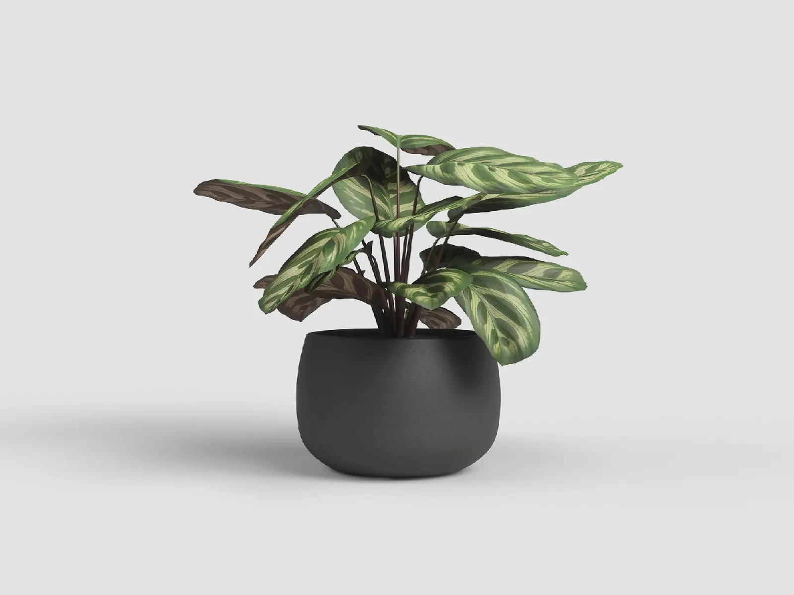 Květináč HEMERA, 25cm, keramika, tm.šedá|ANTHRACITE|Artevasi