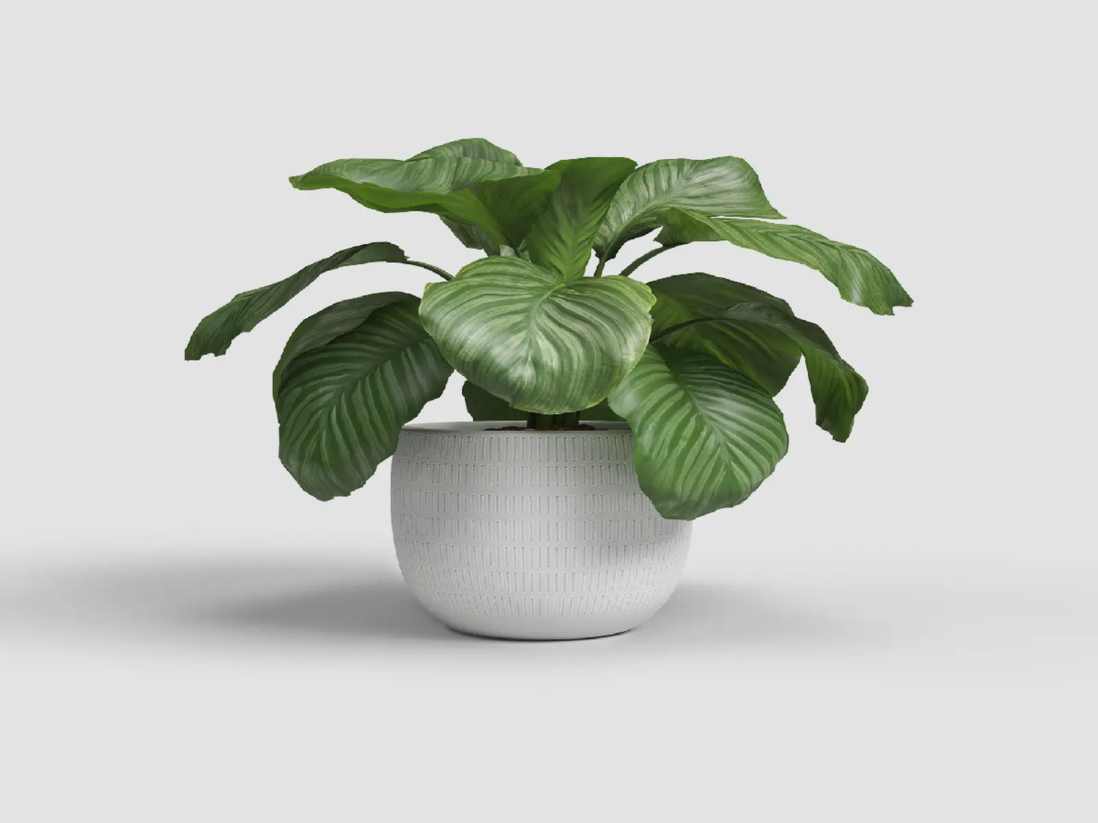 Květináč AURA, 16cm, keramika, bílá|WHITE|Artevasi