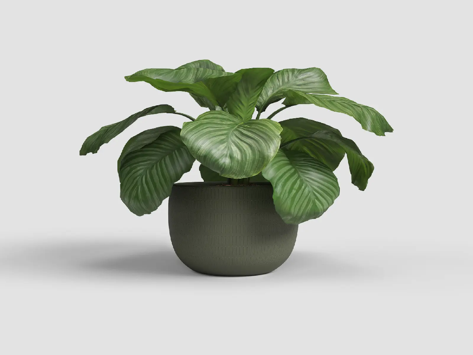 Květináč AURA, 20cm, keramika, zelená|OLIVE GREEN|Artevasi