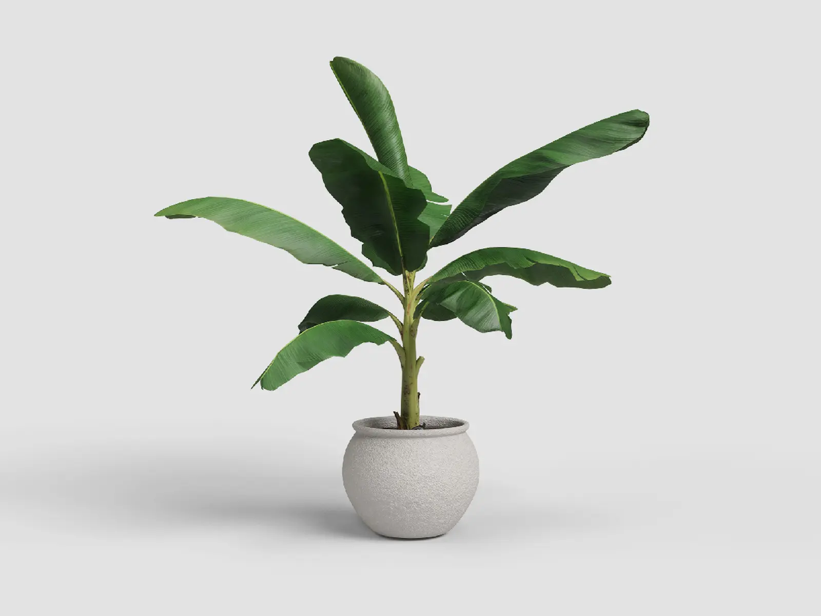 Květináč ARTEMIS, 34cm, keramika, bílá|WHITE|Artevasi