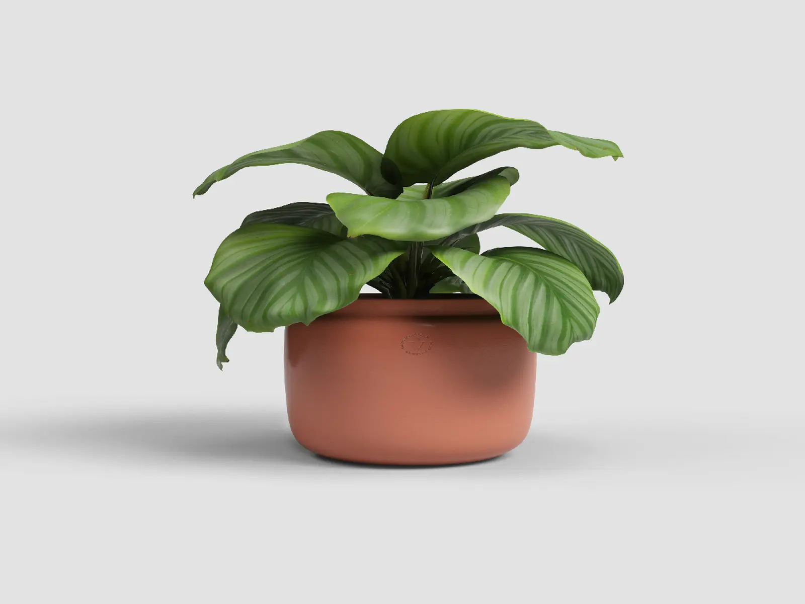 Květináč ASTREA, 26cm, keramika, hnědá|TERRACOTTA|Artevasi