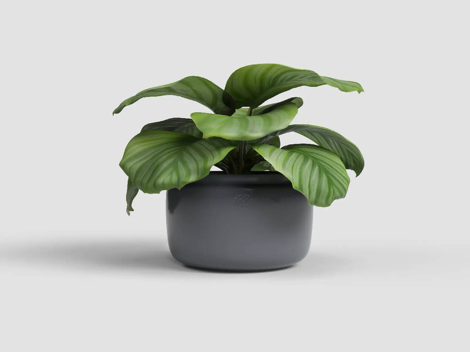 Květináč ASTREA, 26cm, keramika, tm.šedá|ANTHRACITE|Artevasi