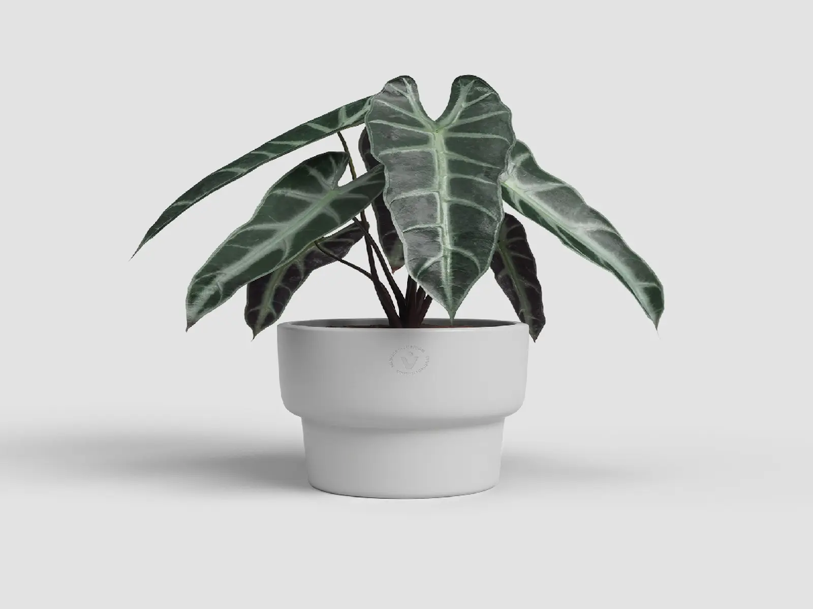 Květináč ECHO, stohovatelný, 17cm, keramika, sv.šedá|LIGHT GREY|Artevasi