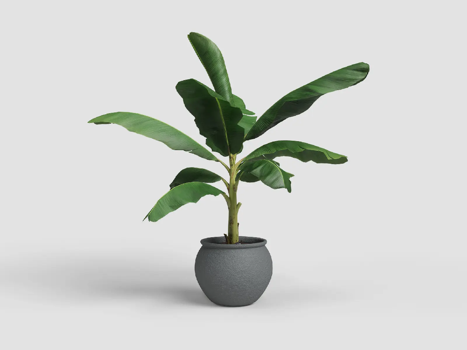 Květináč ARTEMIS, 29cm, keramika, tm.šedá|ANTHRACITE|Artevasi