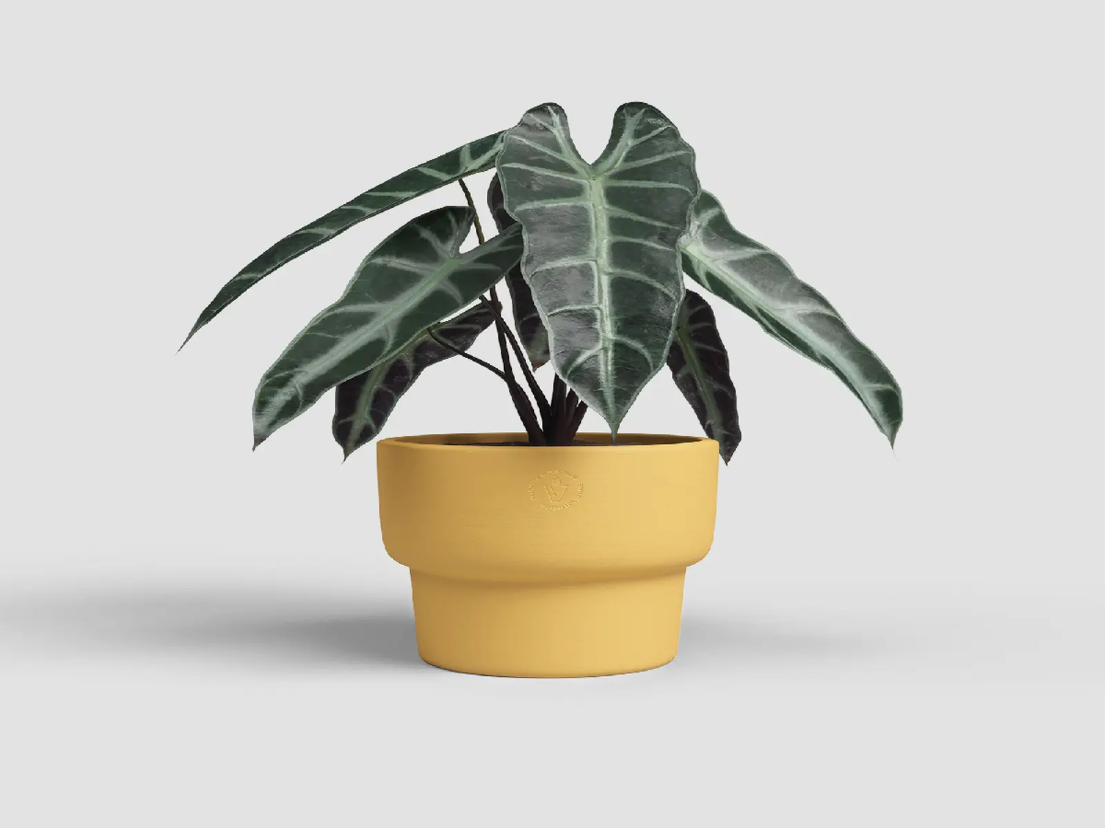 Květináč ECHO, 24cm, keramika, žlutá|YELLOW|Artevasi