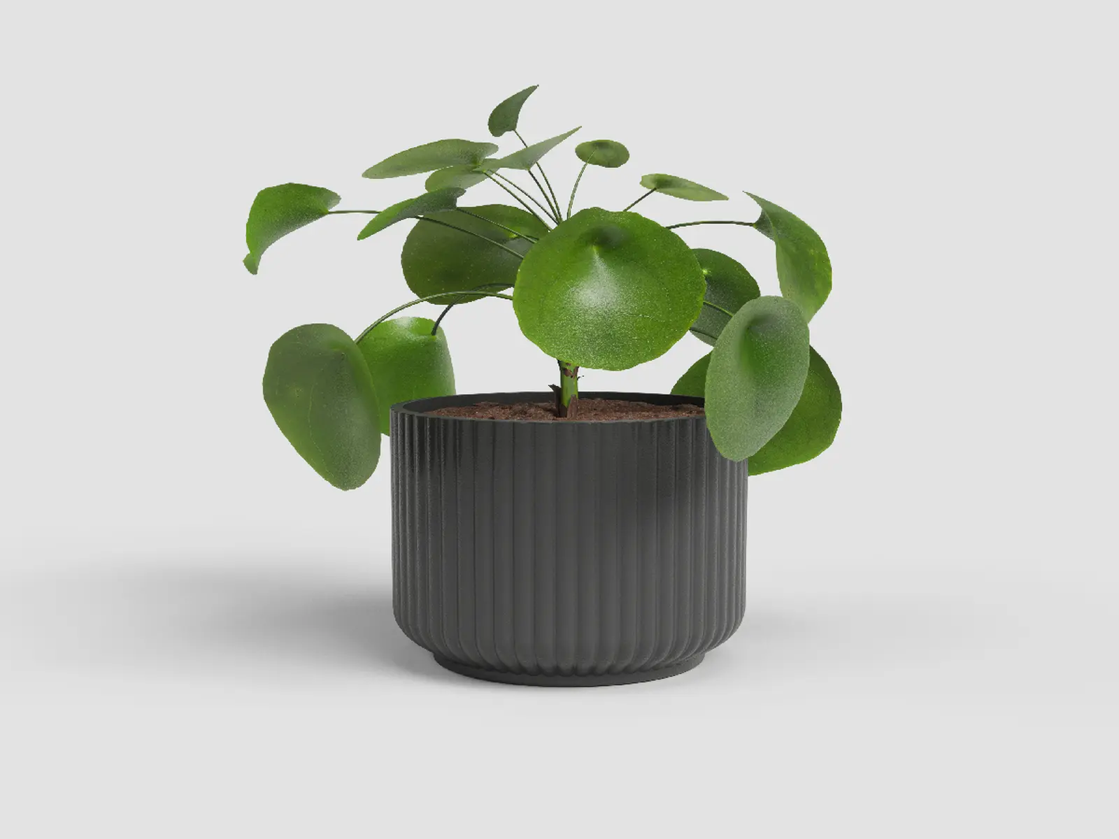 Květináč LUNA, 12cm, keramika, tm.šedá|ANTHRACITE|Artevasi