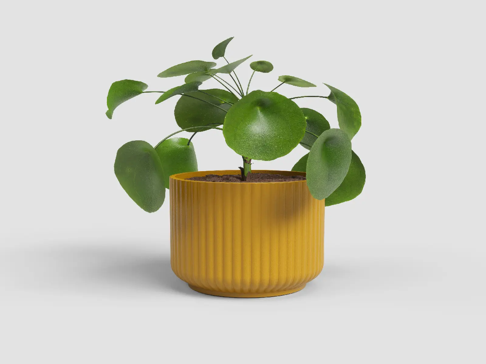 Květináč LUNA, 15cm, keramika, žlutá|YELLOW|Artevasi