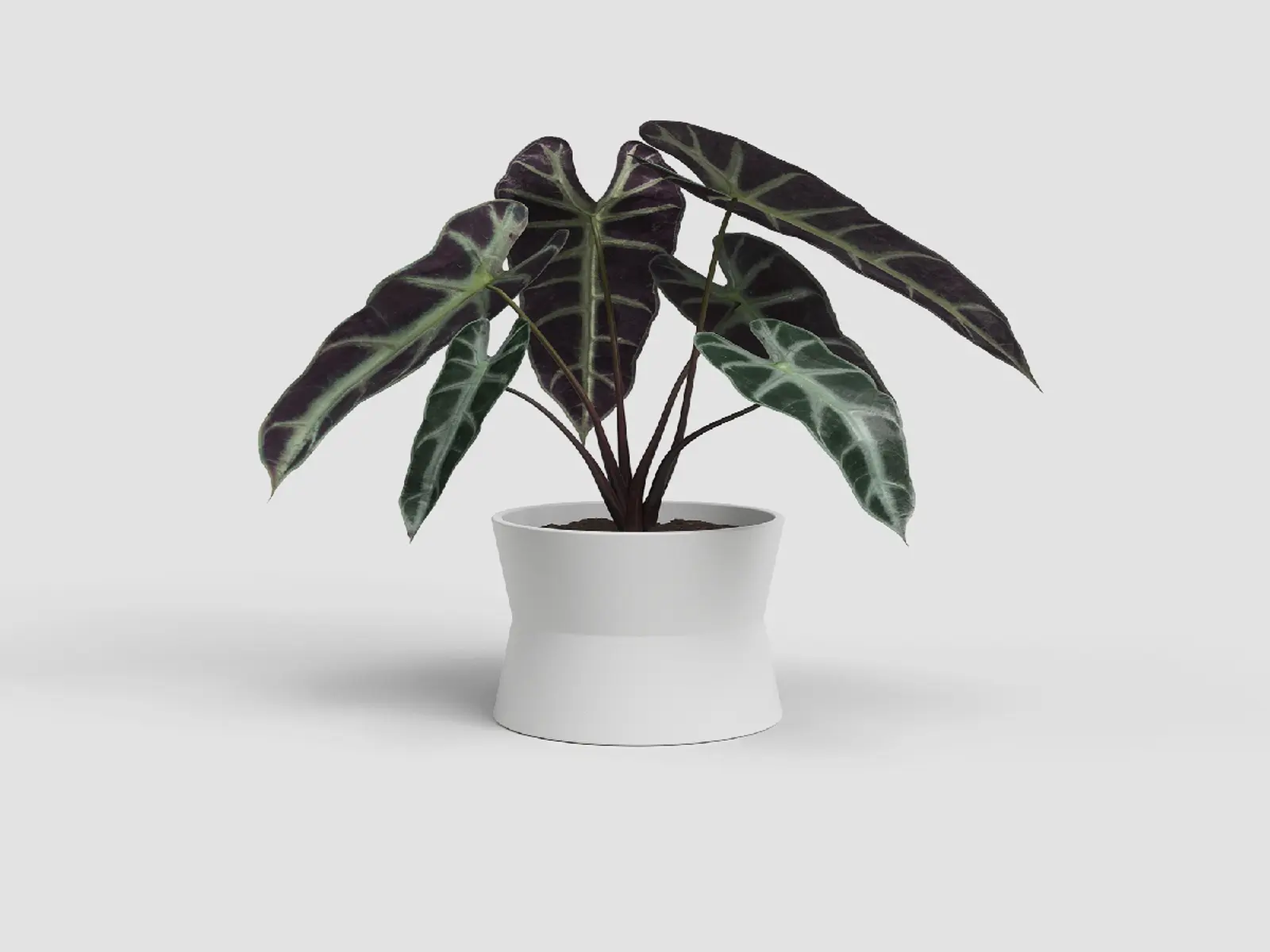 Květináč DIANA, 14cm, keramika, bílá|WHITE|Artevasi