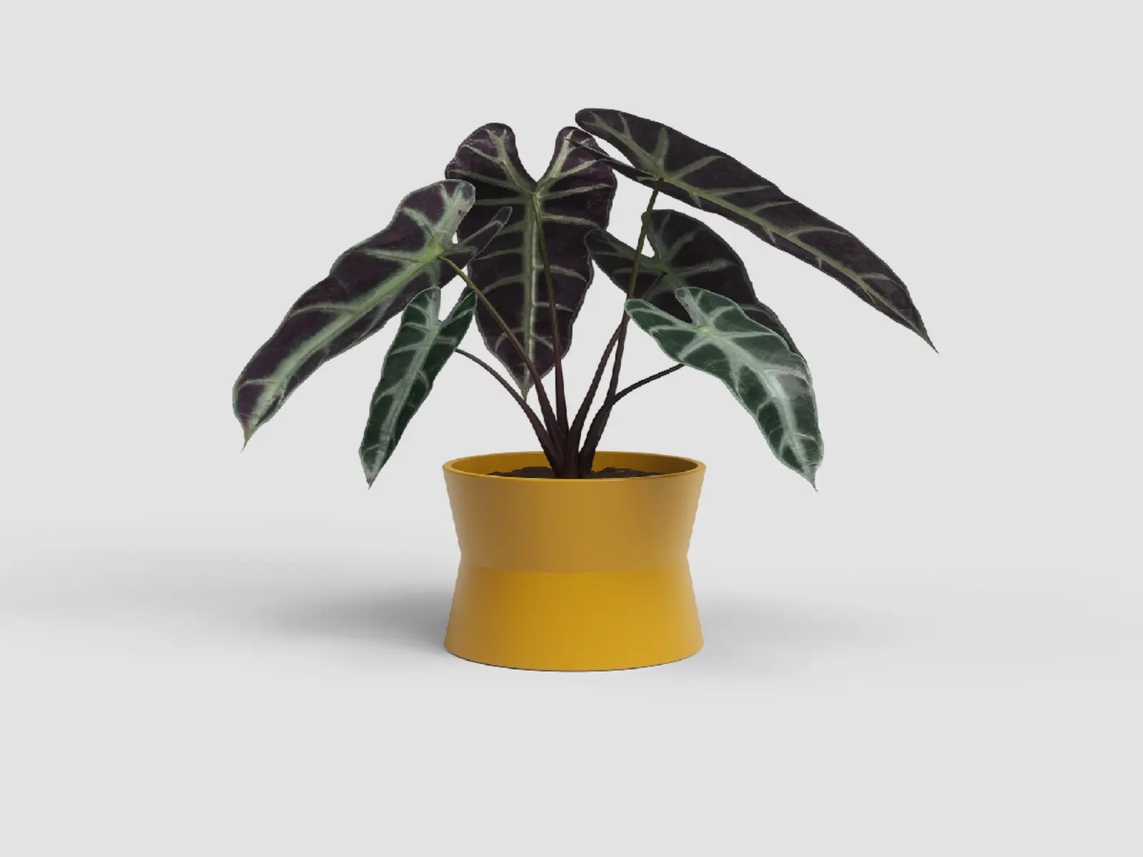 Květináč DIANA, 14cm, keramika, žlutá|YELLOW|Artevasi