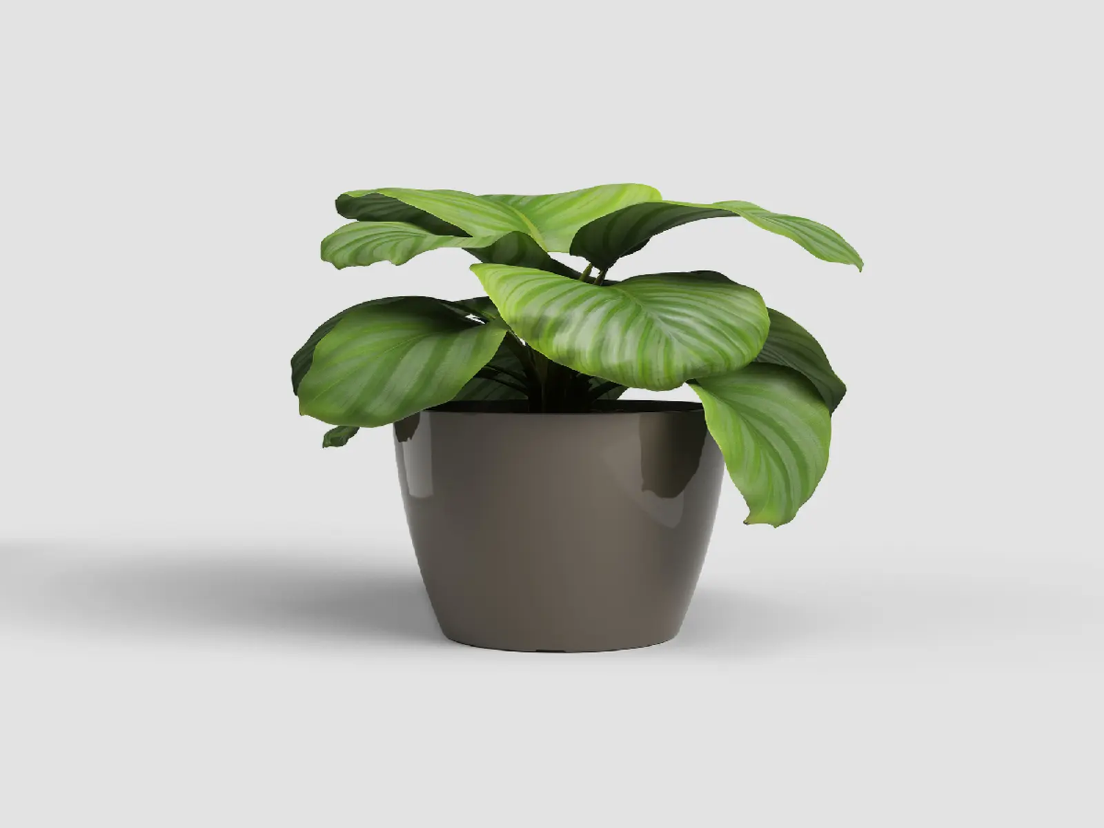 Květináč SAN REMO, 14cm, plast, šedá|GLOSSY TAUPE|Artevasi