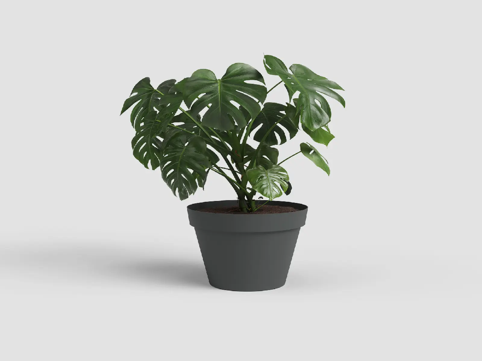Květináč CAPRI, 30cm, plast, tm.šedá|ANTHRACITE|Artevasi