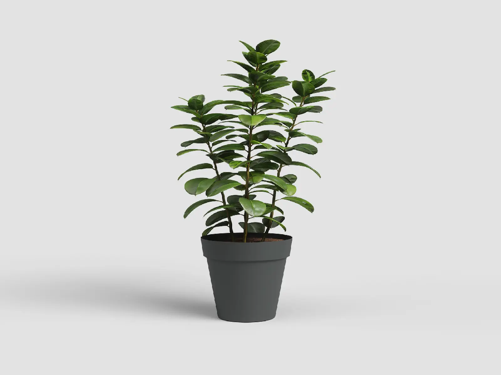 Květináč CAPRI, 56cm, plast, tm.šedá|ANTHRACITE|Artevasi