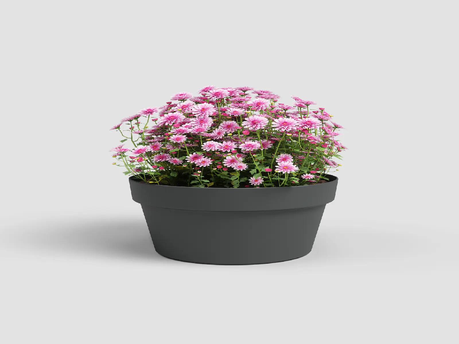Mísa|květináč CAPRI, 25cm, plast, tm.šedá|ANTHRACITE|Artevasi