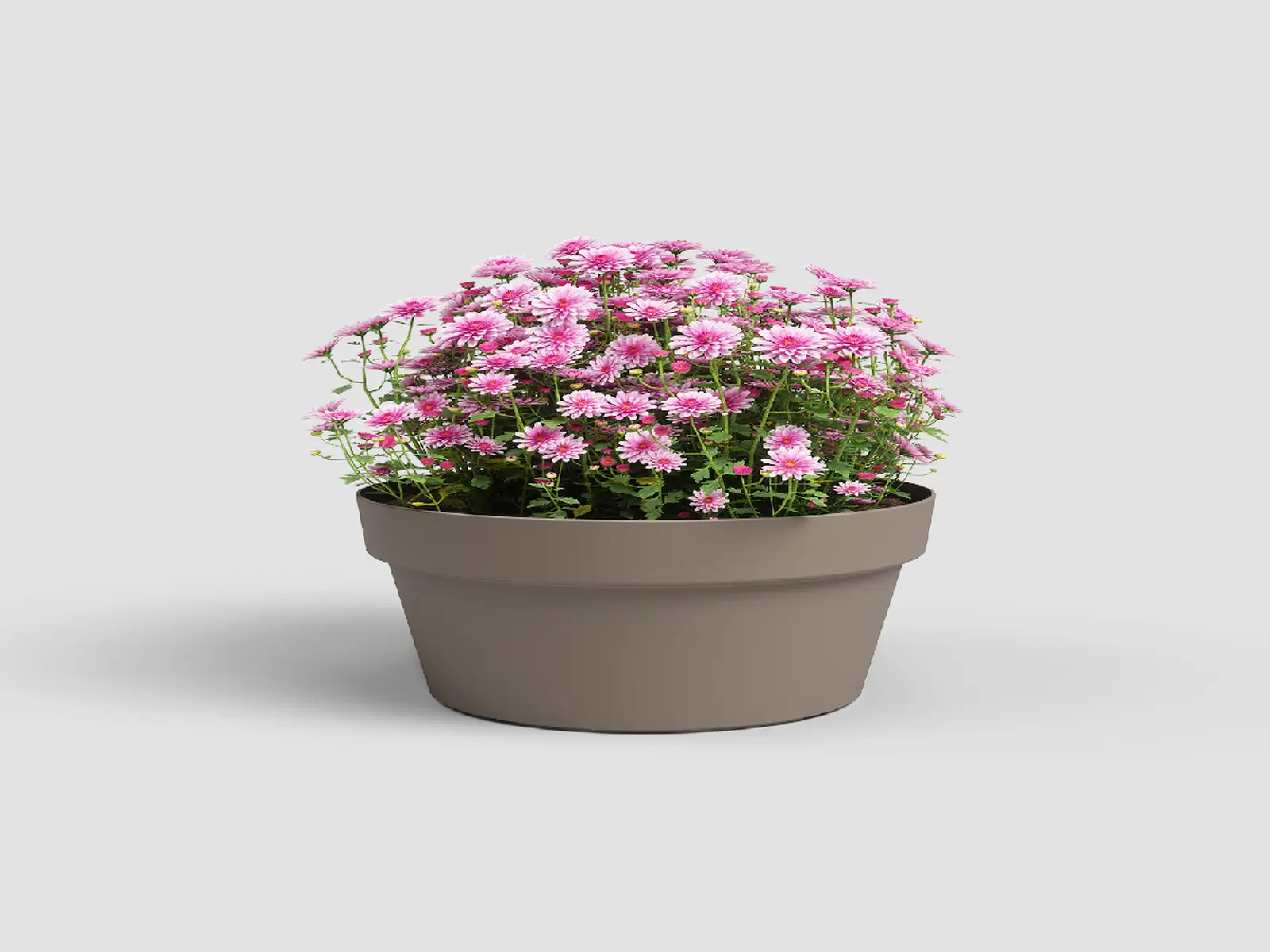 Mísa|květináč CAPRI, 25cm, plast, šedá|MATTE TAUPE|Artevasi