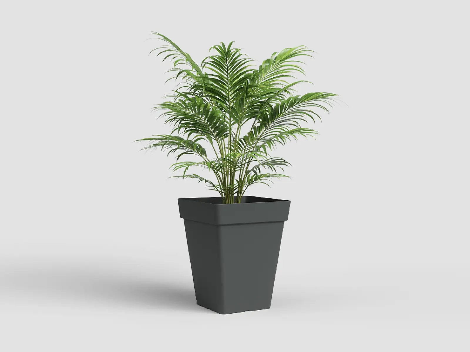 Květináč CAPRI, čtvercový, 50cm, plast, tm.šedá|ANTHRACITE|Artevasi