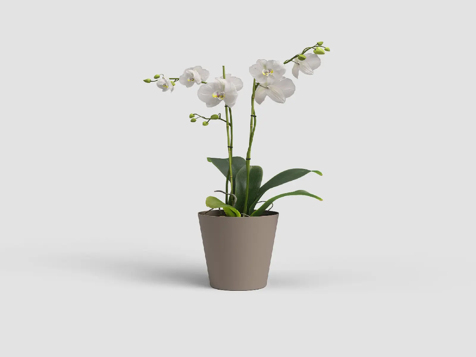Květináč PORTO, na orchidej, 15cm, plast, šedá|MATTE TAUPE|Artevasi