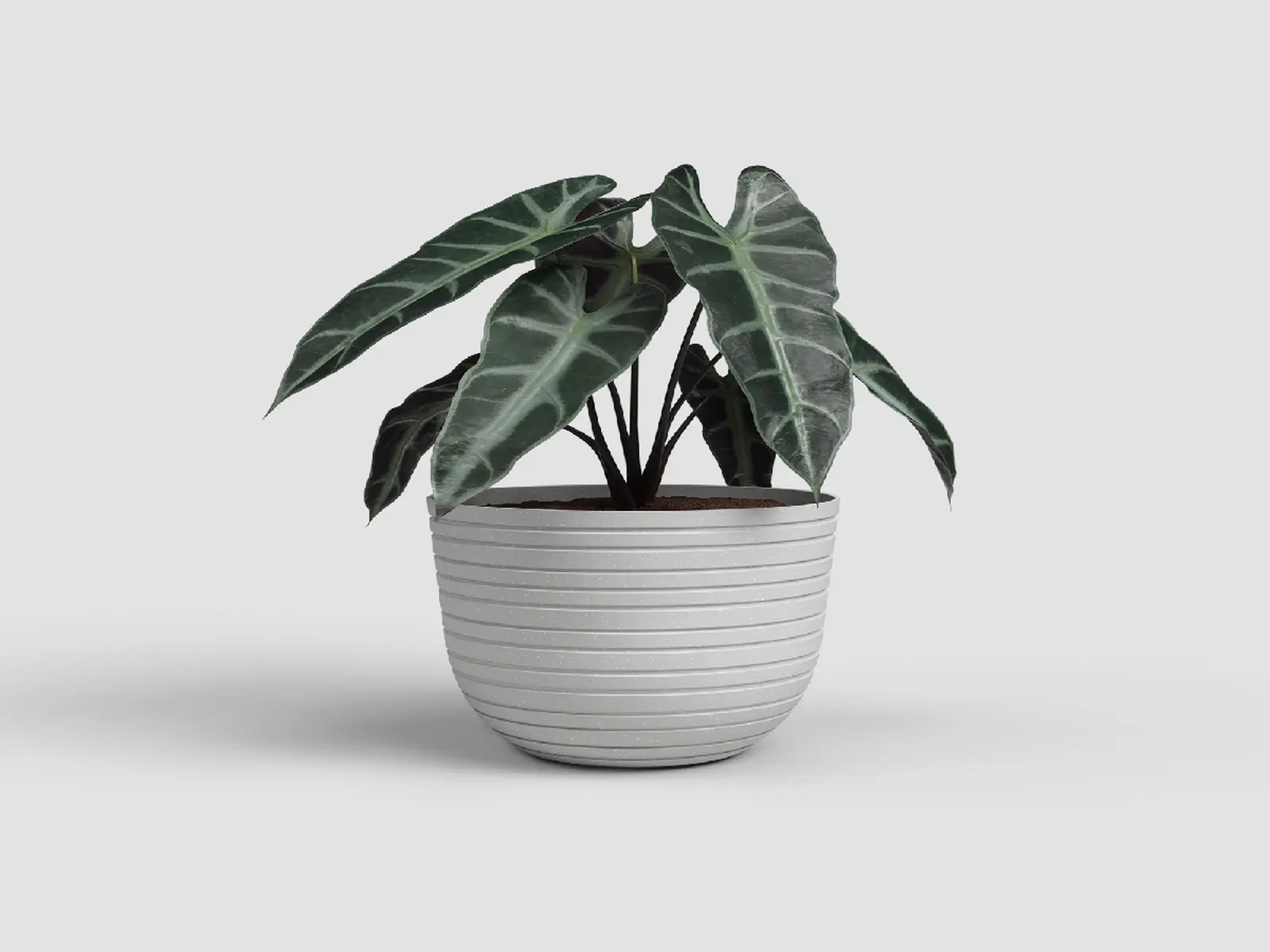 Květináč HAVANA, 30cm, plast, šedá|LIMESTONE GREY|Artevasi