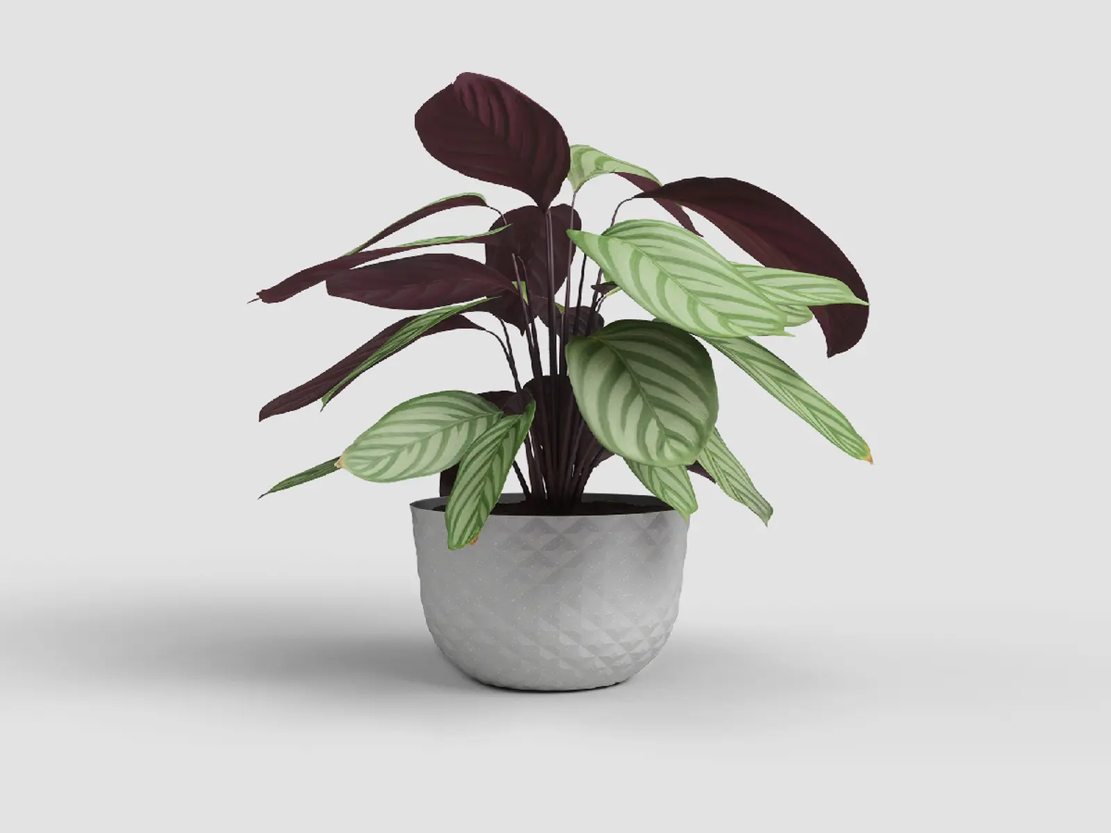 Květináč HAVANA|CUBA, 20cm, plast, šedá|LIMESTONE GREY|Artevasi