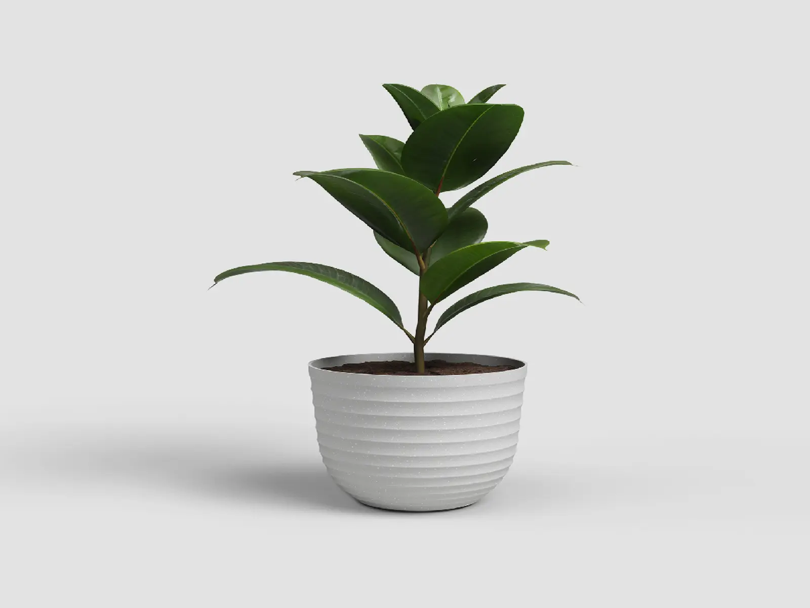 Květináč HAVANA, 20cm, plast, šedá|LIMESTONE GREY|Artevasi