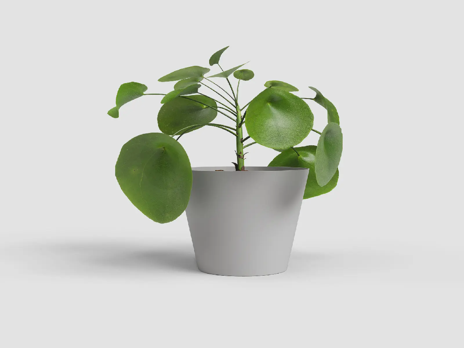 Květináč PORTO, 16cm, plast, sv.šedá|LIGHT GREY|Artevasi