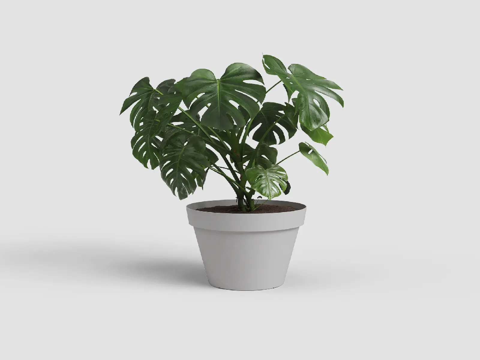 Květináč CAPRI, 20cm, plast, sv.šedá|LIGHT GREY|Artevasi