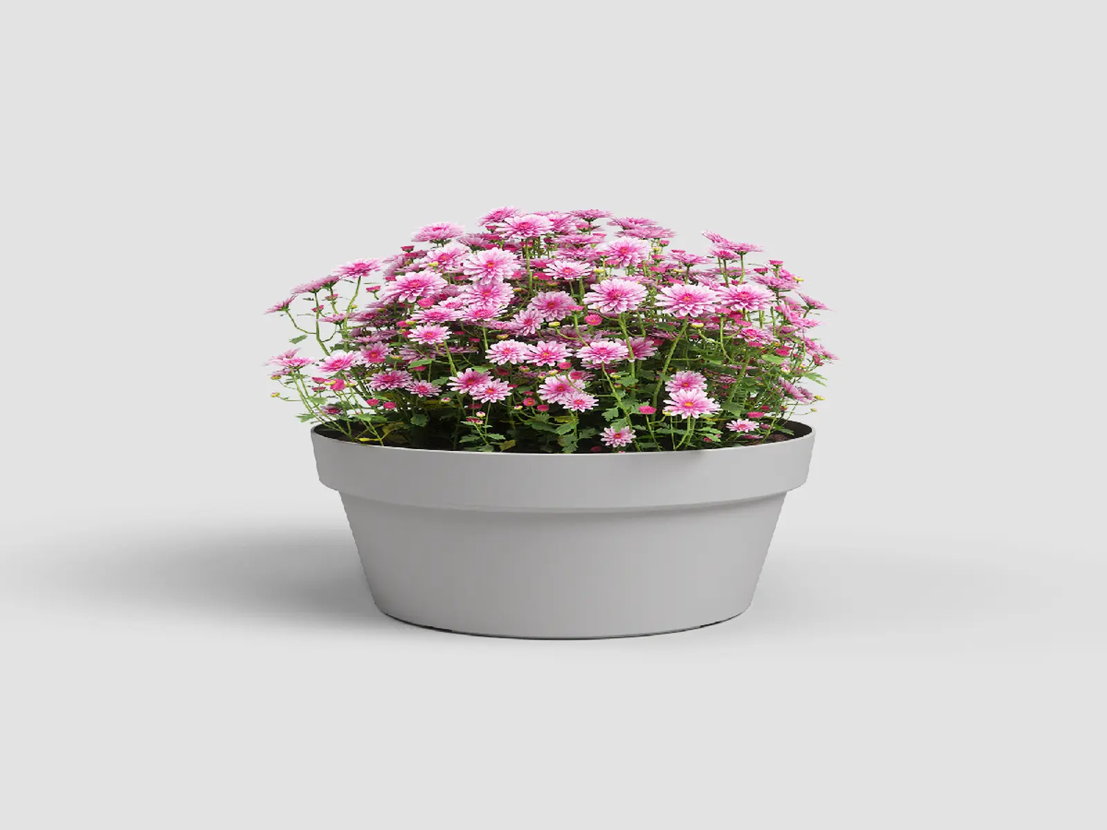 Mísa|květináč CAPRI, 30cm, plast, sv.šedá|LIGHT GREY|Artevasi