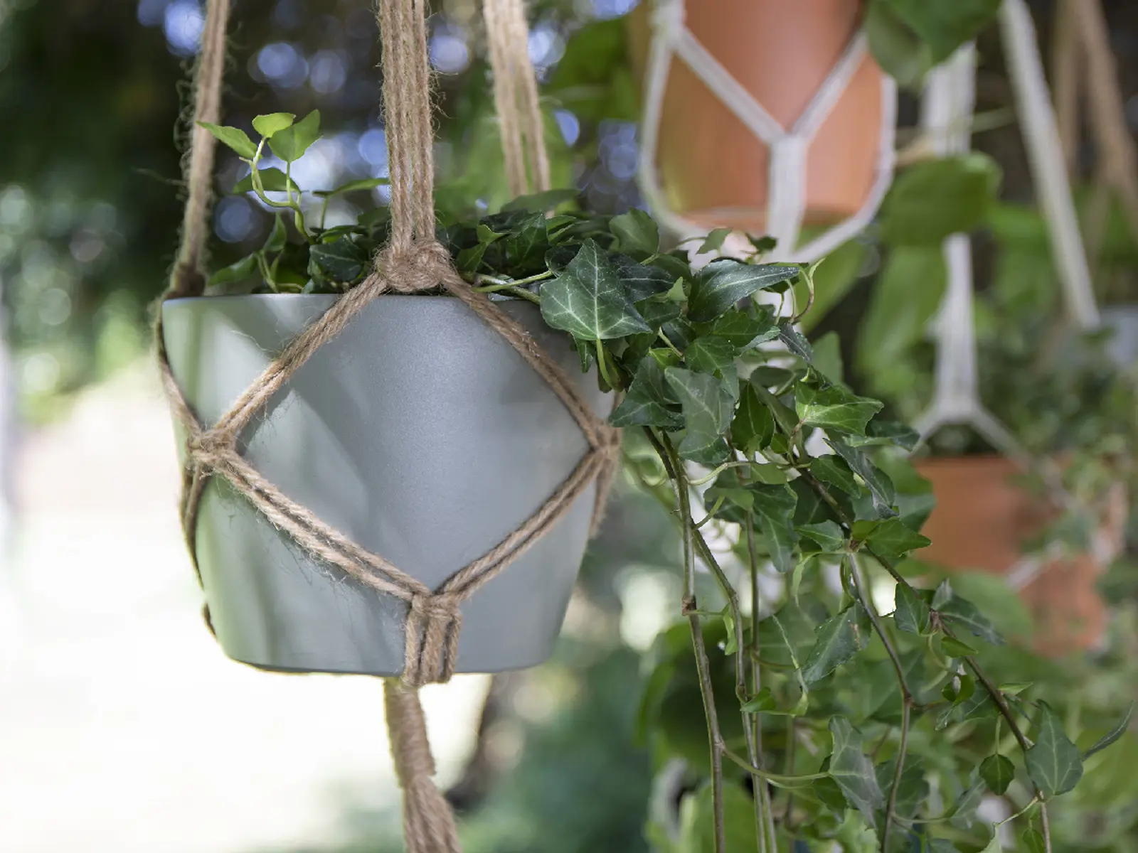 Závěs na květináč MACRAMÉ, dvojitý, 120cm, přírodní (DOPRODEJ)|NATURAL (DOPRODEJ)|Artevasi