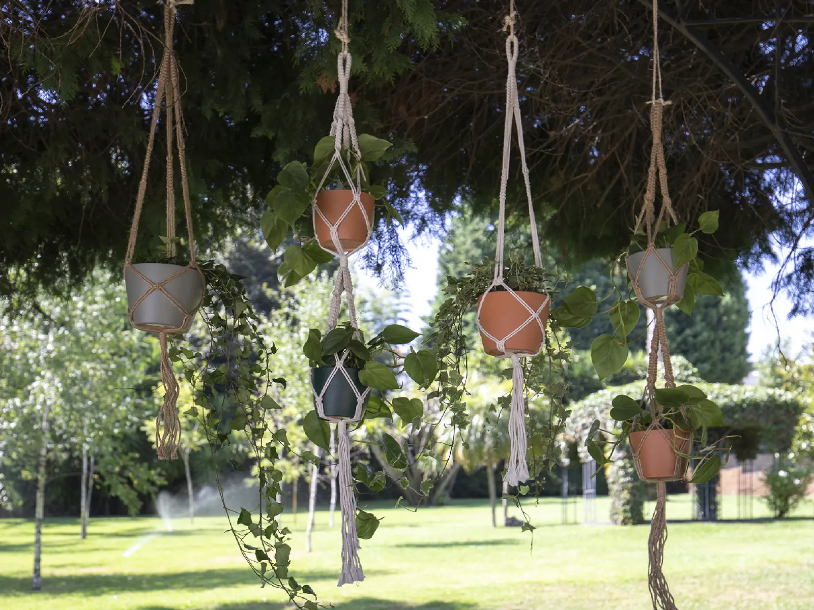 Závěs na květináč MACRAMÉ, dvojitý, 120cm, přírodní (DOPRODEJ)|NATURAL (DOPRODEJ)|Artevasi