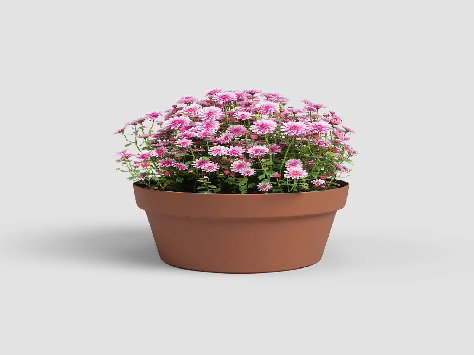 Mísa|květináč CAPRI, 30cm, plast, hnědá|TERRACOTTA|Artevasi