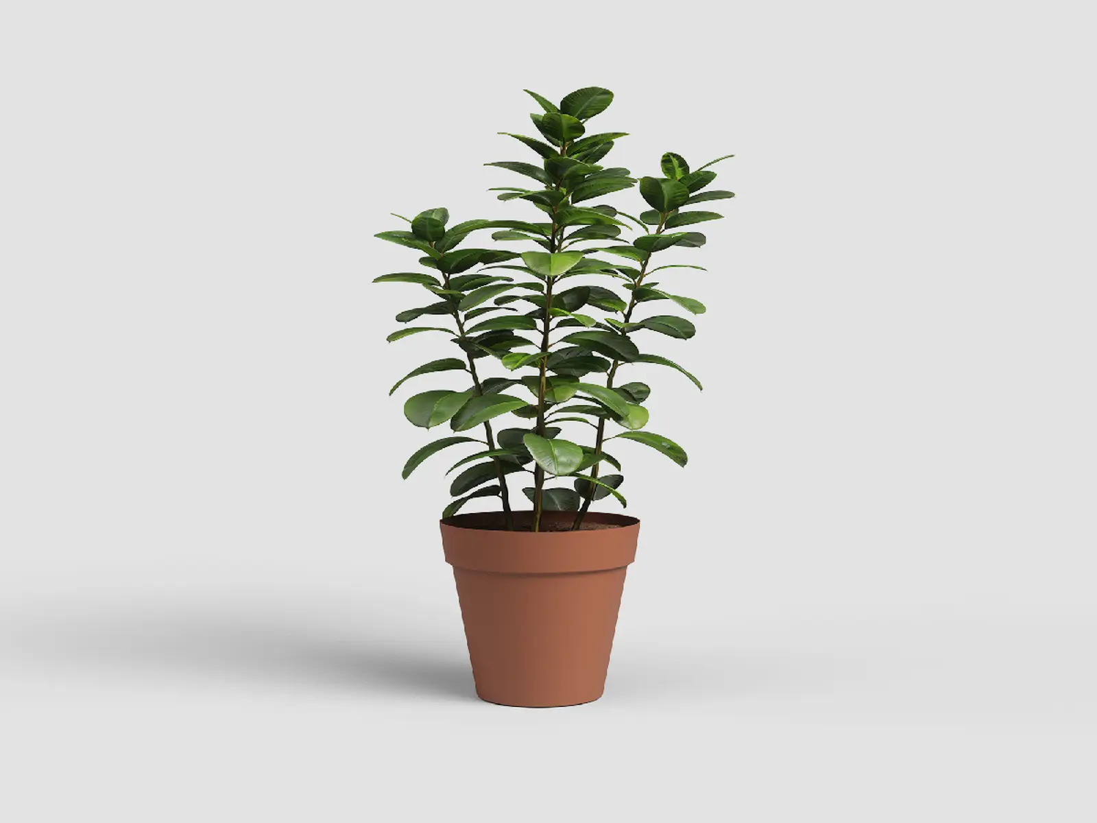 Květináč CAPRI, 56cm, plast, hnědá|TERRACOTTA|Artevasi