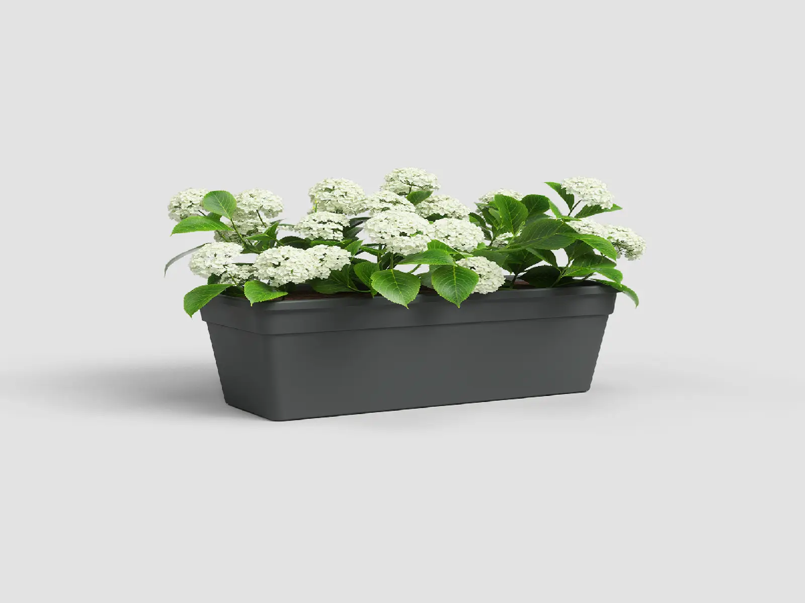 Truhlík MADAGASCAR, 100cm, plast, tm.šedá|ANTHRACITE|Artevasi