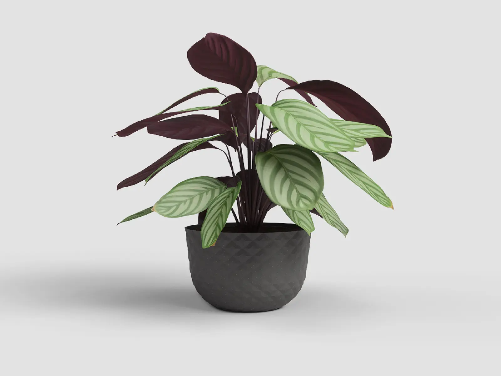 Květináč HAVANA, 20cm, plast, šedá|MUD GREY|Artevasi