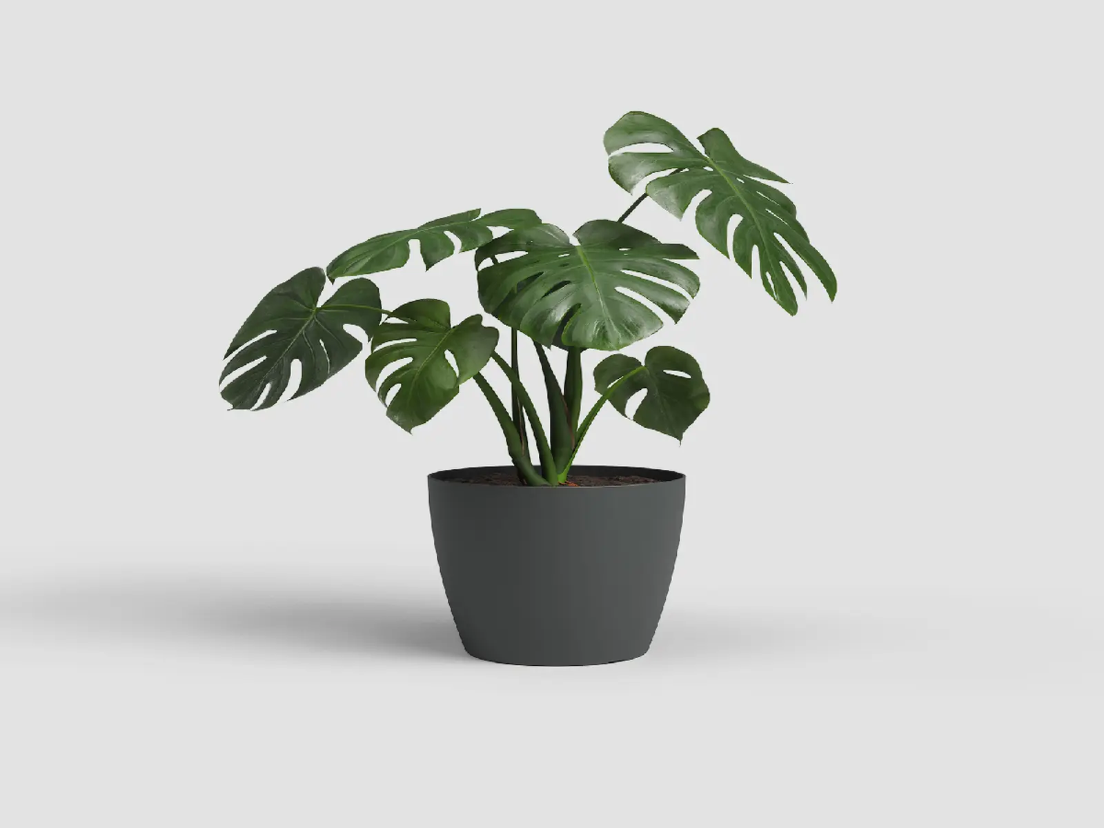 Květináč SAN REMO, 14cm, plast, tm.šedá|ANTHRACITE|Artevasi