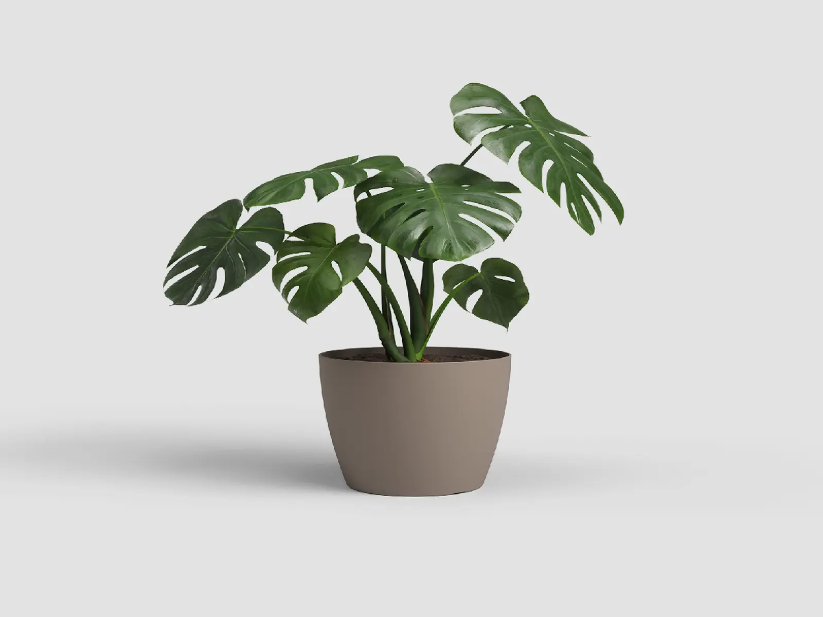 Květináč SAN REMO, 14cm, plast, šedá|MATTE TAUPE|Artevasi