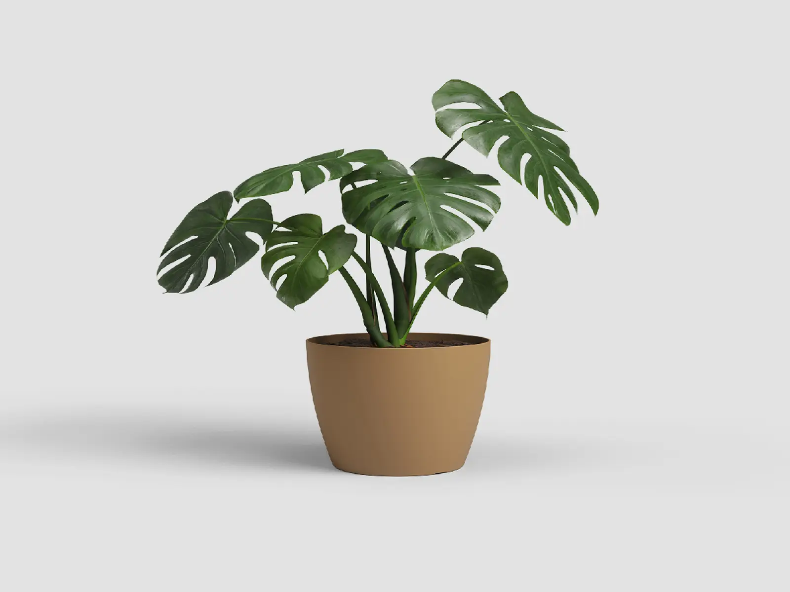 Květináč SAN REMO, 16cm, plast, okrová|MUSTARD|Artevasi