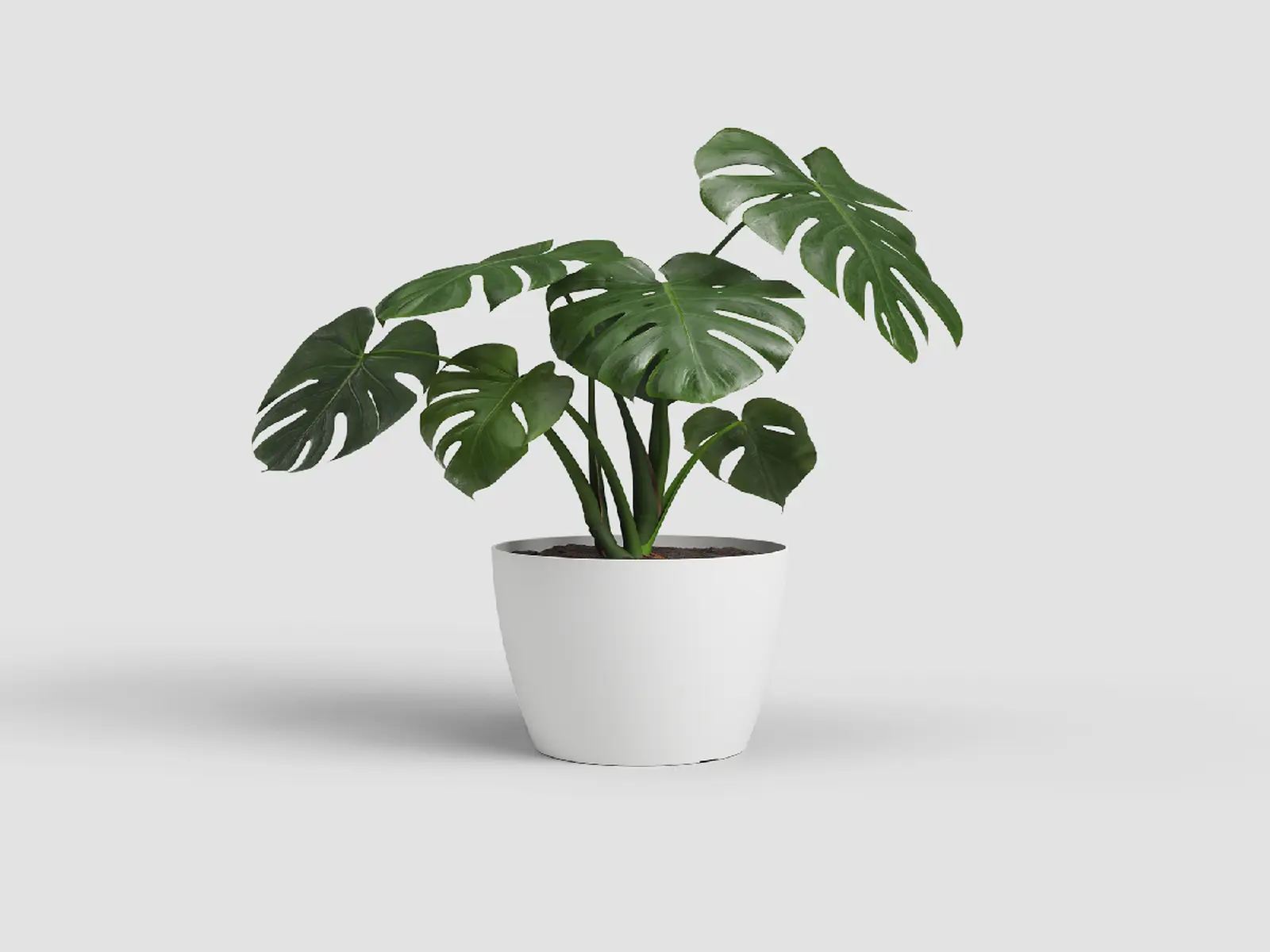 Květináč SAN REMO, 18cm, plast, bílá|WHITE|Artevasi
