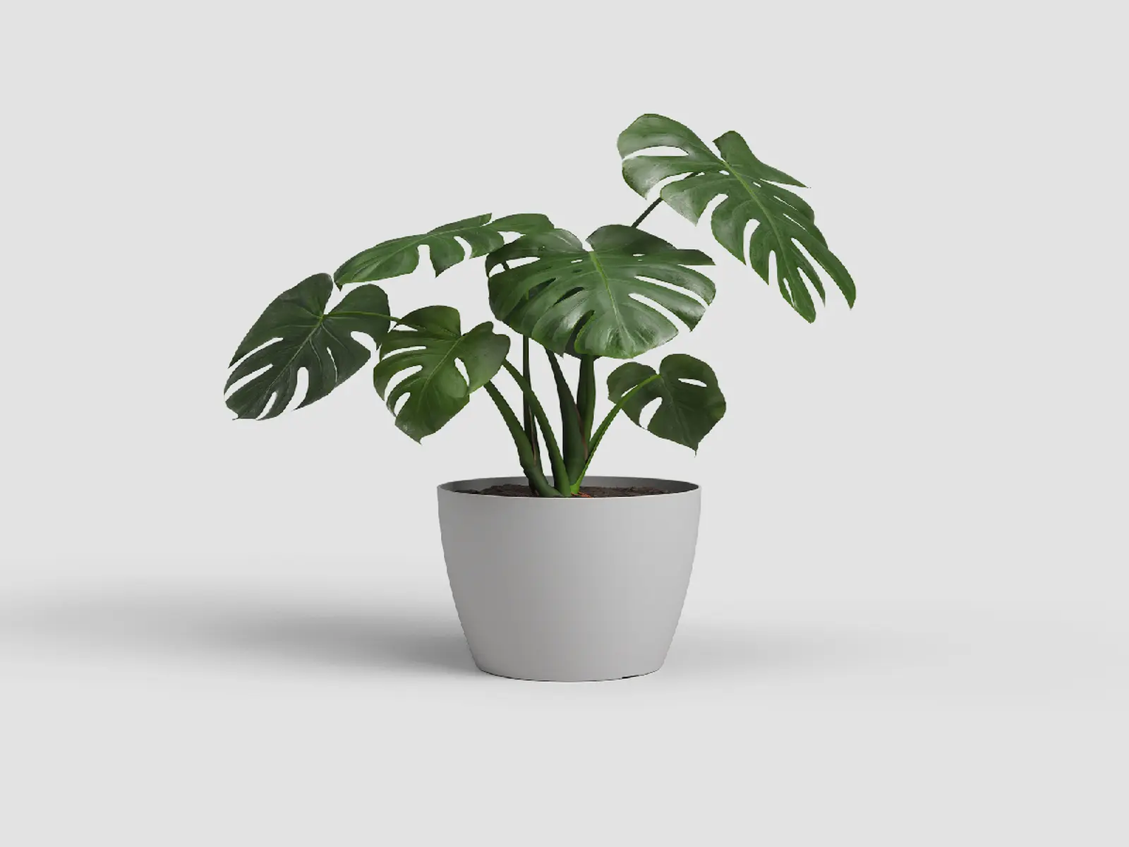 Květináč SAN REMO, 20cm, plast, sv.šedá|LIGHT GREY|Artevasi