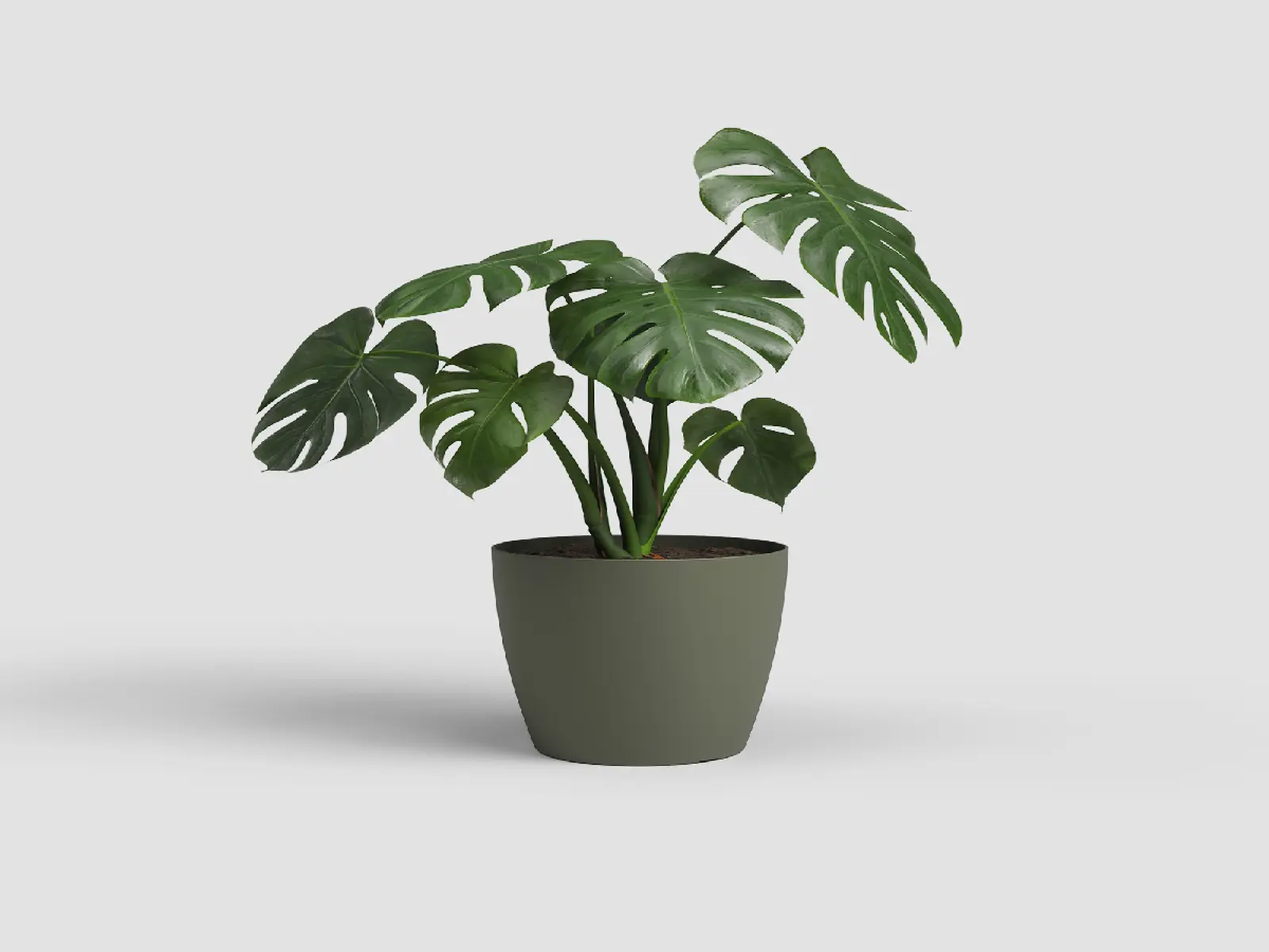 Květináč SAN REMO, 25cm, plast, zelená|DRY GREEN|Artevasi