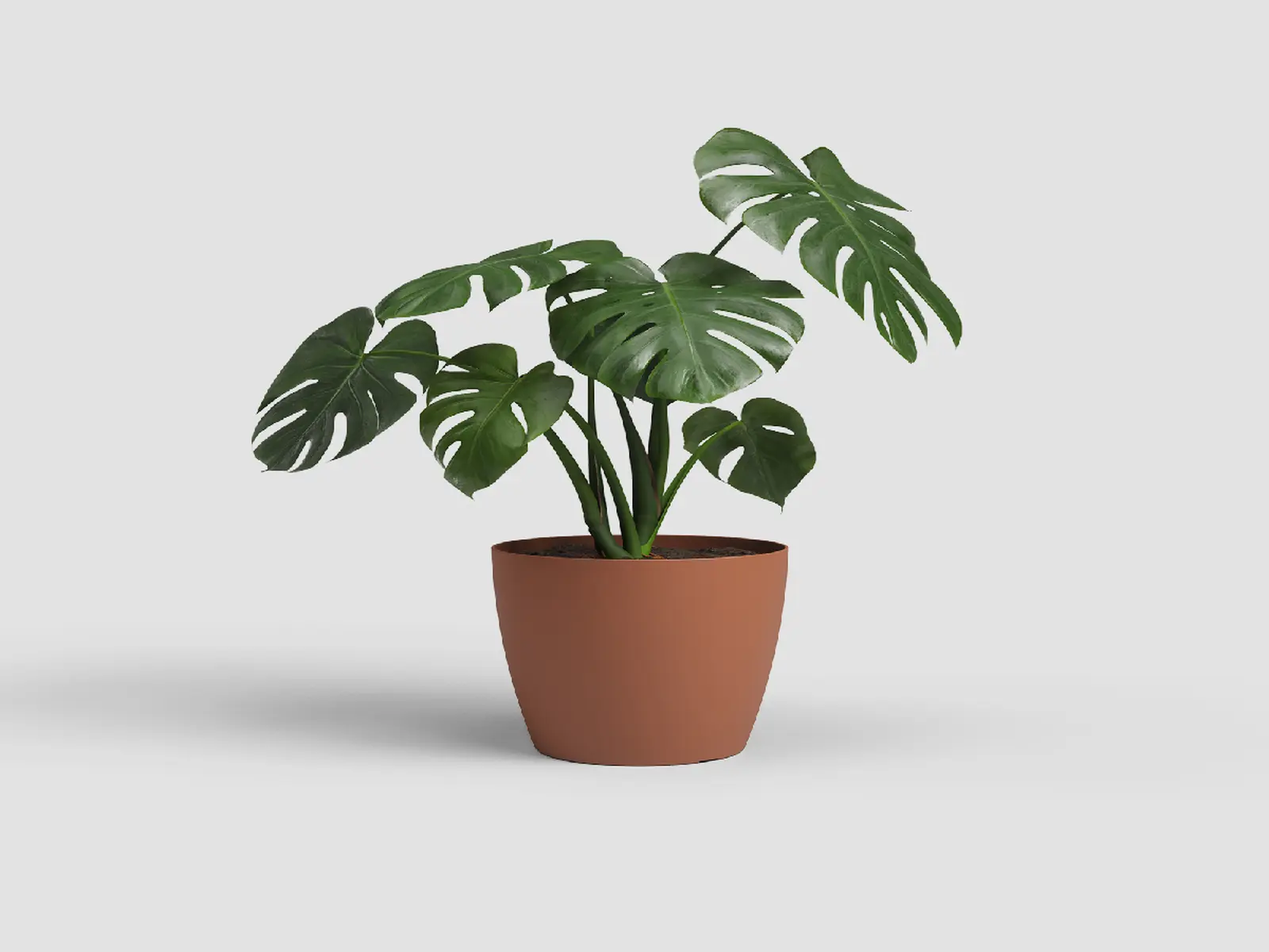 Květináč SAN REMO, 25cm, plast, hnědá (DOPRODEJ)|TERRACOTTA (DOPRODEJ)|Artevasi