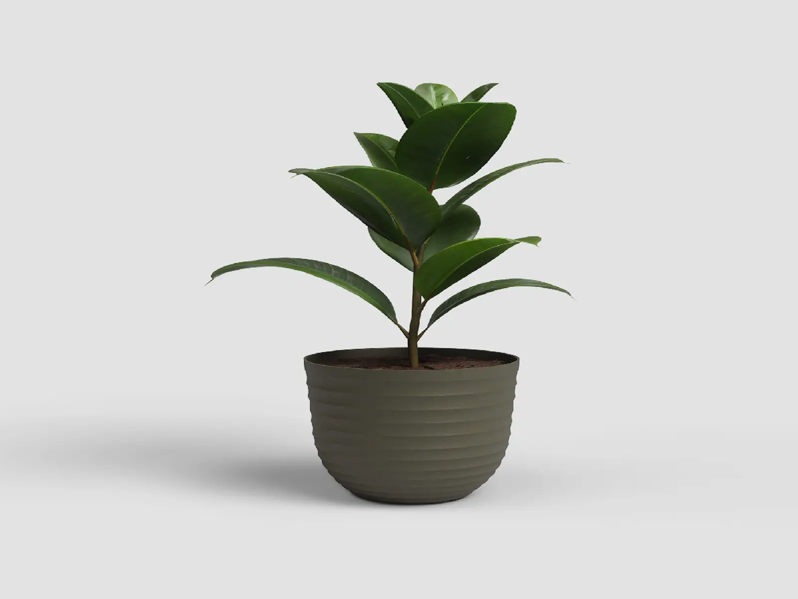 Květináč HAVANA, tvarovaný, 20cm, plast, zelená|MOSS GREEN|Artevasi