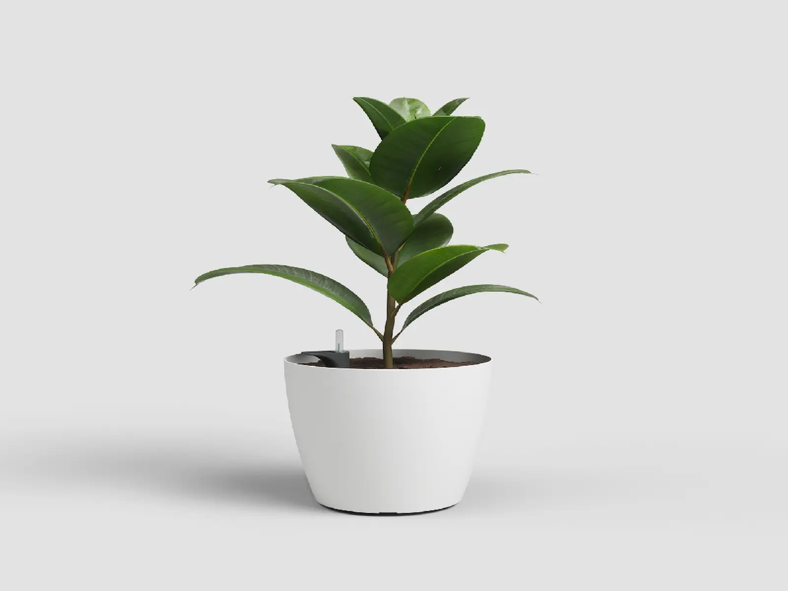 Květináč SAN REMO, samozavlažovací, 30cm, plast, bílá|WHITE|Artevasi