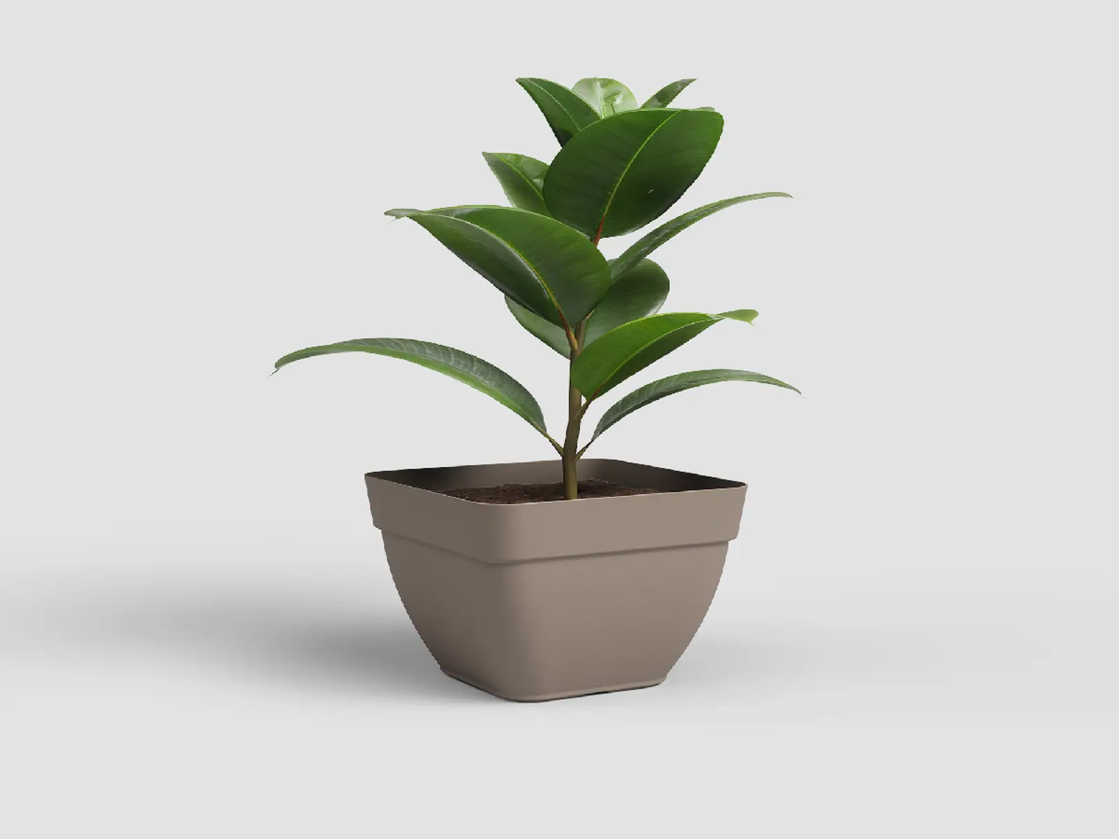 Květináč CAPRI, čtvercový, 37cm, plast, šedá|MATTE TAUPE|Artevasi