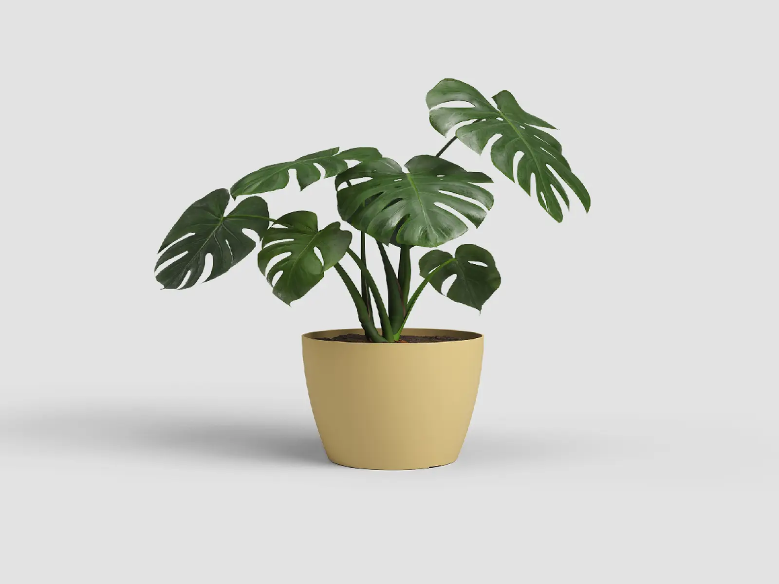 Květináč SAN REMO, 20cm, plast, sv.žlutá (DOPRODEJ)|LIGHT YELLOW (DOPRODEJ)|Artevasi