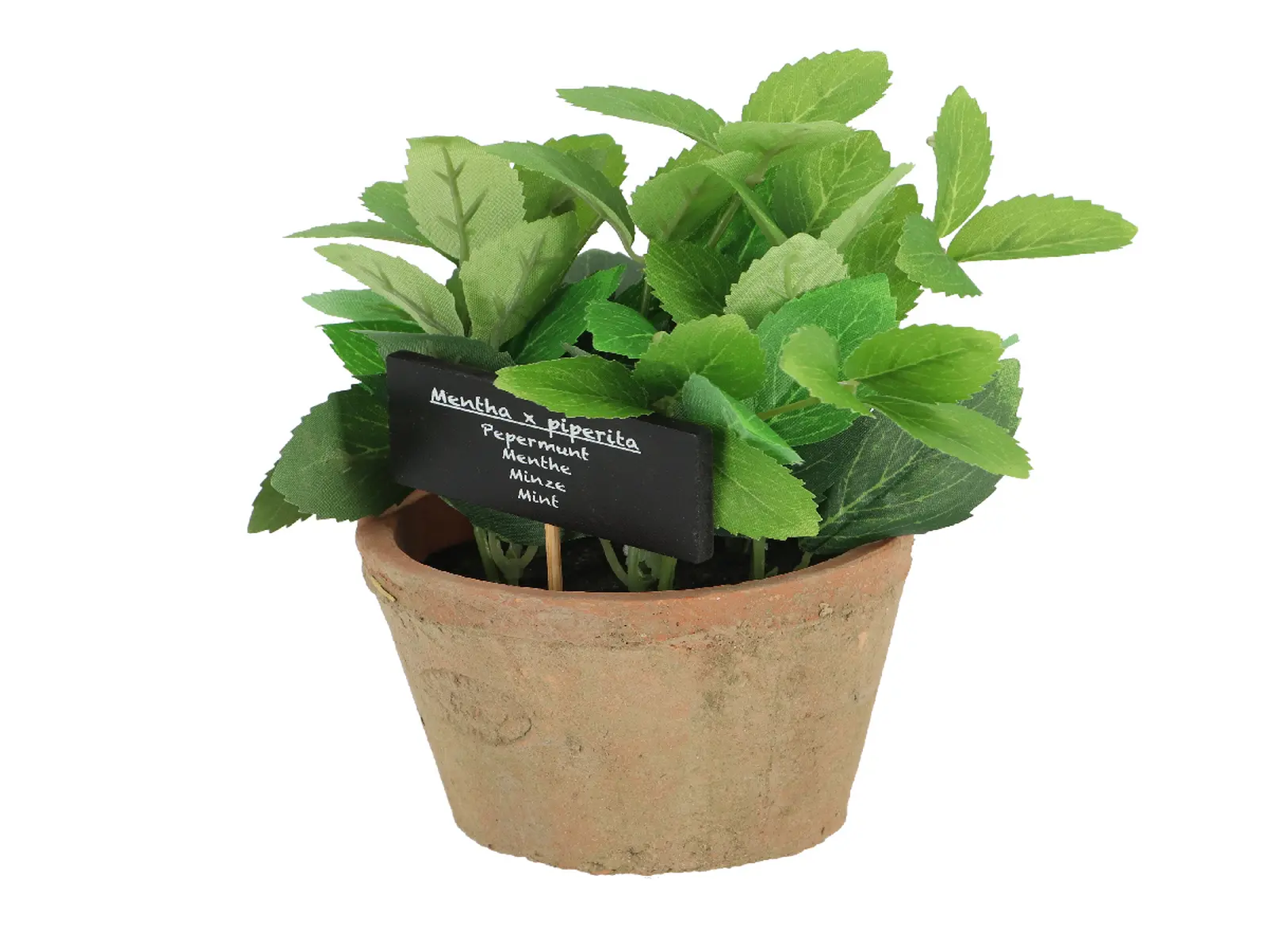 Máta v květináči ESSCHERT´S GARDEN , 18,5 cm|Esschert Design