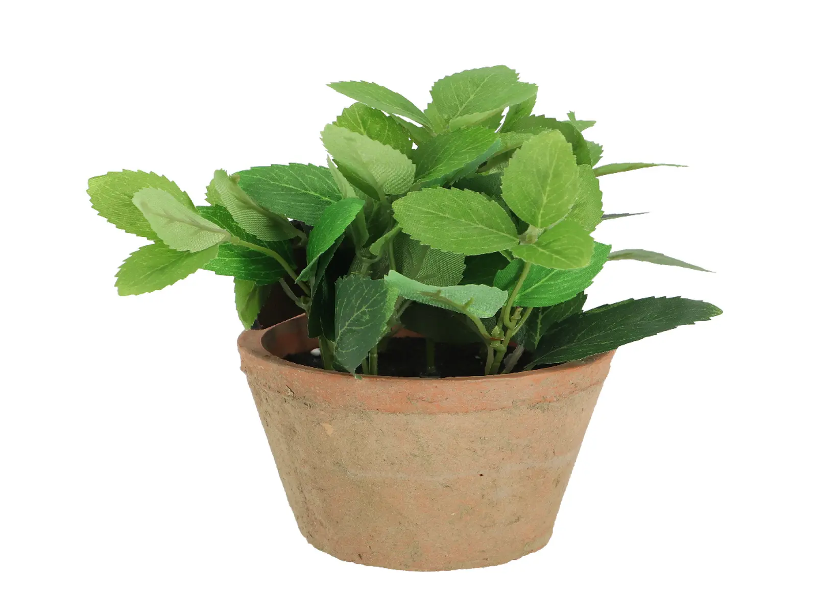 Máta v květináči ESSCHERT´S GARDEN , 18,5 cm|Esschert Design
