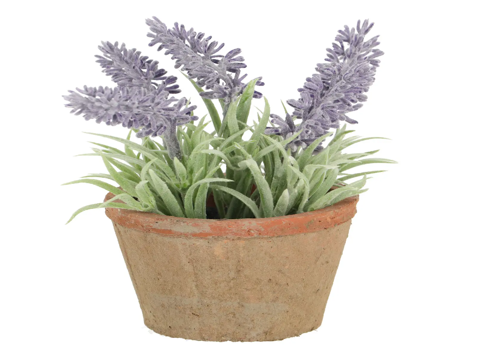 Levandule v květináči ESSCHERT´S GARDEN , 15,5 cm|Esschert Design