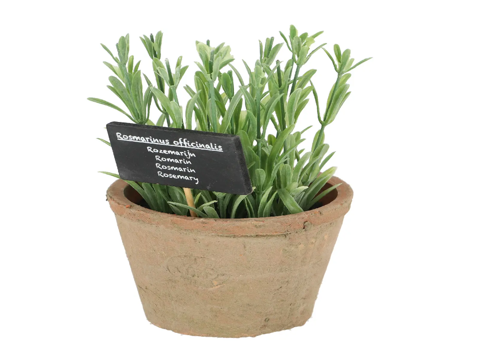 Rozmarýn v květináči ESSCHERT´S GARDEN , 20,5 cm|Esschert Design