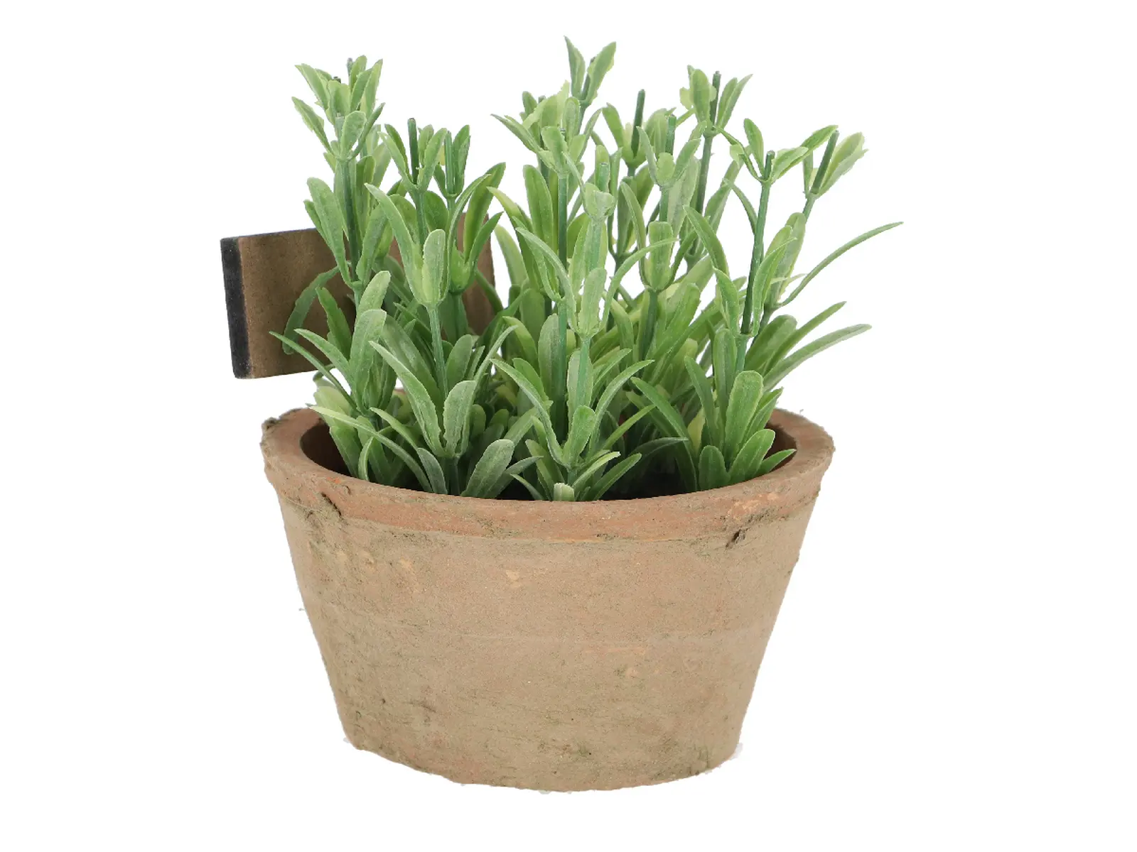 Rozmarýn v květináči ESSCHERT´S GARDEN , 20,5 cm|Esschert Design