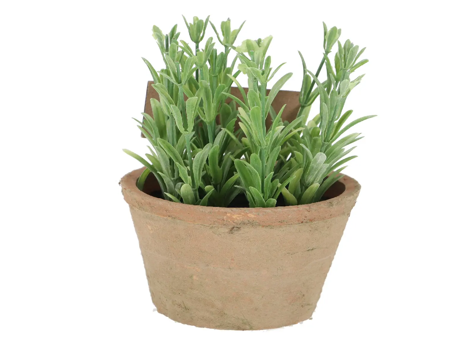 Rozmarýn v květináči ESSCHERT´S GARDEN , 20,5 cm|Esschert Design