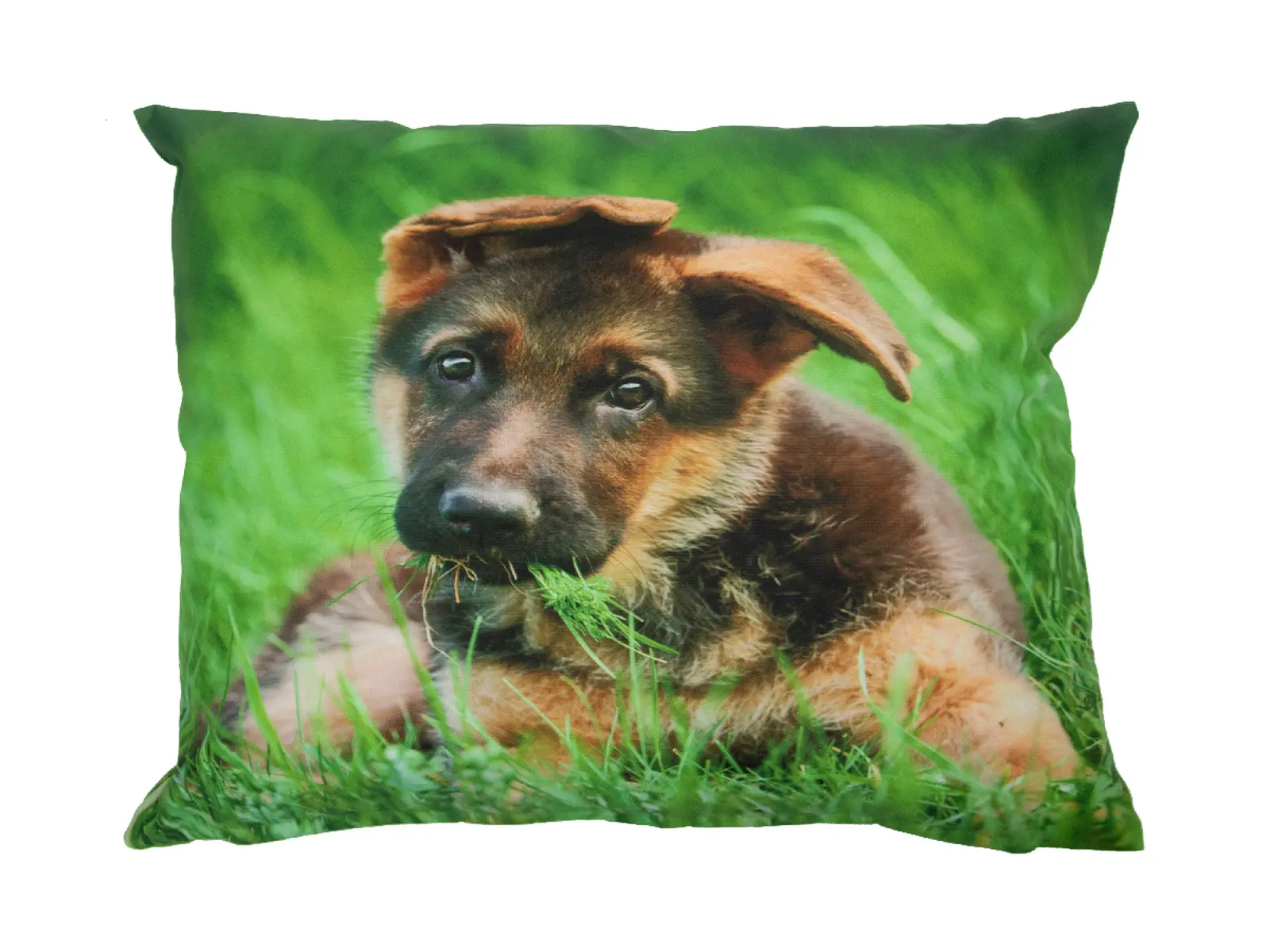 Polštář OUTDOOR Pes SCOOBY, 40cm, buldoček/retvívr/ovčák/čivava  (DOPRODEJ) (balení obsahuje 4 kusy!)|Esschert Design